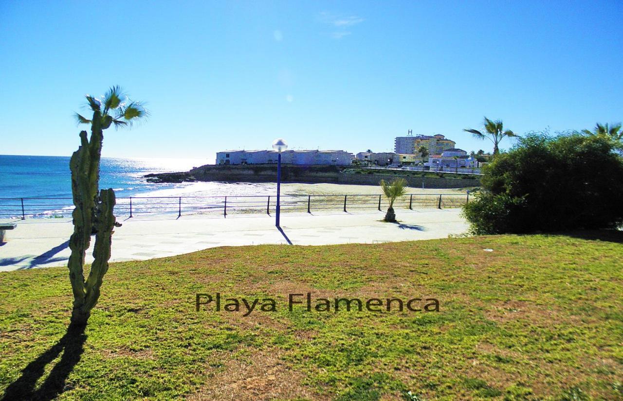 Apartment With Large Roof Solarium Dehesa de Campoamor  Extérieur photo